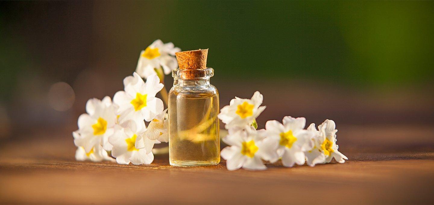 Small glass bottle of golden oil surrounded by white flowers on a wooden surface.