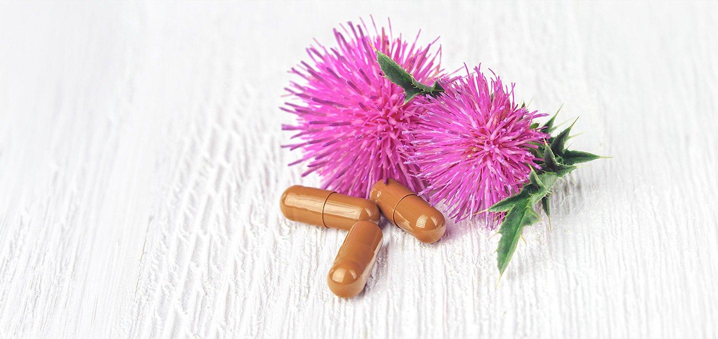 Pink thistle flowers and three capsules arranged on a white wooden surface.