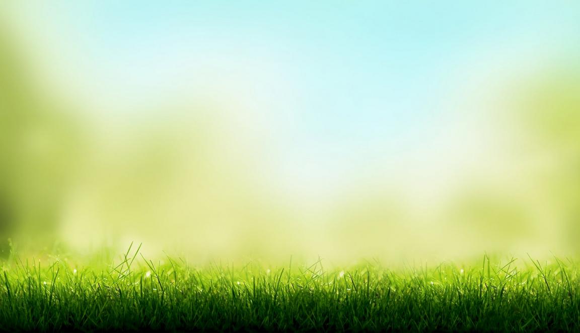 Grass