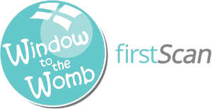 Logo with  Window to the Womb in a blue circle