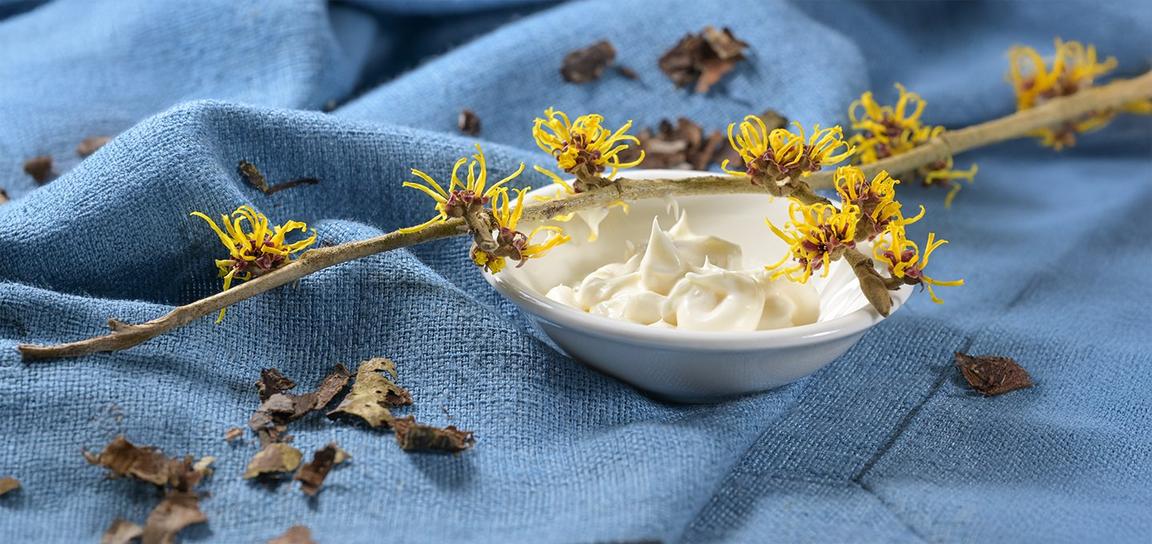 Bowl of cream with witch hazel flowers on blue fabric with dried leaves.